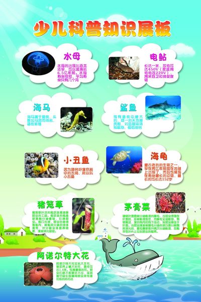 宁夏科普讲解总决赛上演知识盛宴