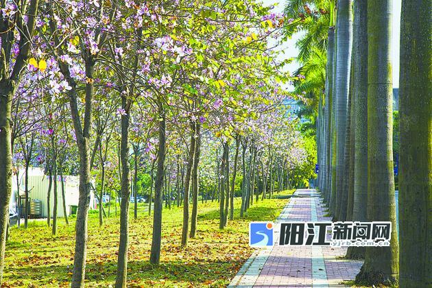 孝义市下堡镇“美丽庭院”擦亮乡村振兴最美底色